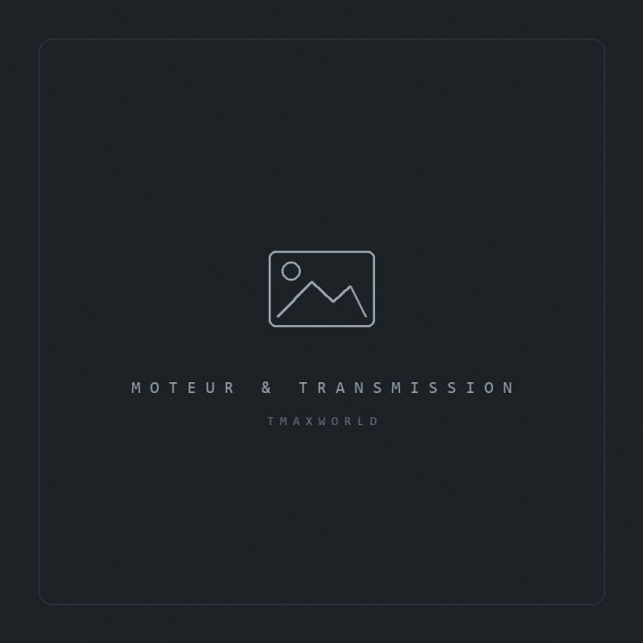 VARIATEUR POLINI PIAGGIO 500 X9 EVO